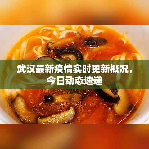 武汉最新疫情实时更新概况，今日动态速递