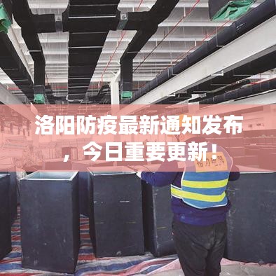 布衣蔬食 第2页