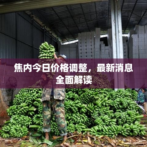焦内今日价格调整，最新消息全面解读
