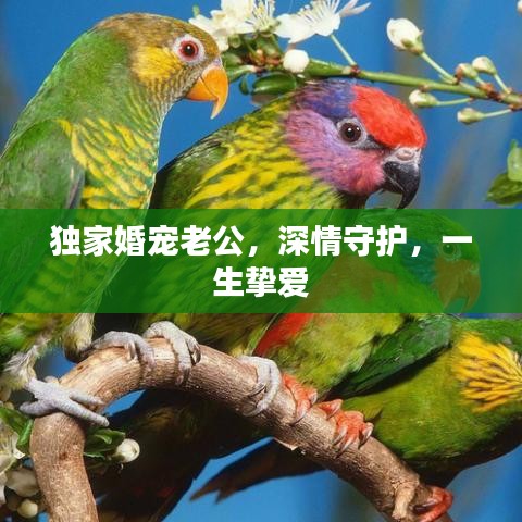 第415页