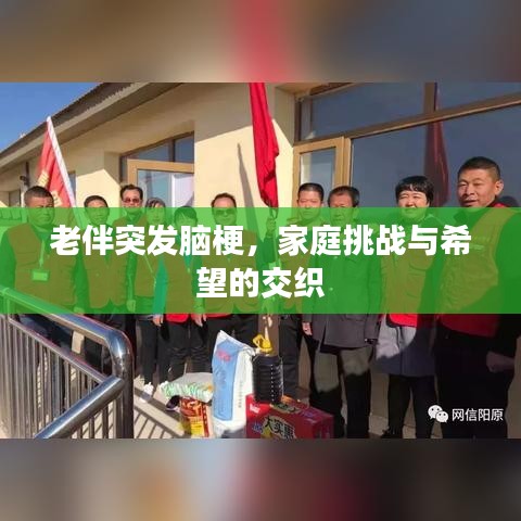 老伴突发脑梗，家庭挑战与希望的交织