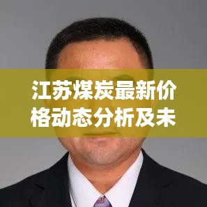 江苏煤炭最新价格动态分析及未来展望