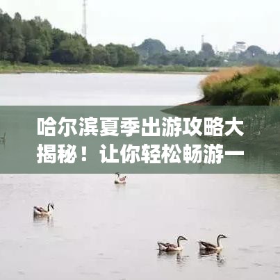 哈尔滨夏季出游攻略大揭秘！让你轻松畅游一夏！