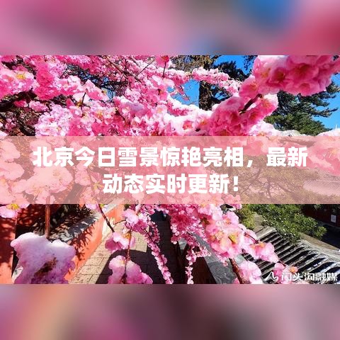 第408页