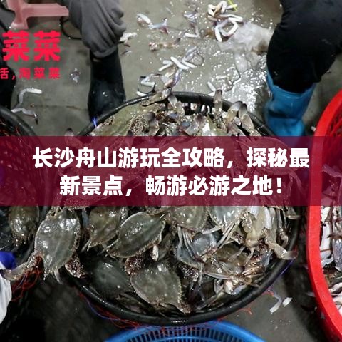 长沙舟山游玩全攻略，探秘最新景点，畅游必游之地！
