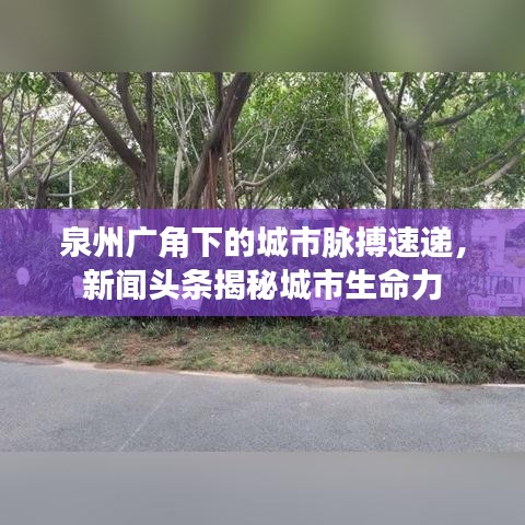 泉州广角下的城市脉搏速递，新闻头条揭秘城市生命力