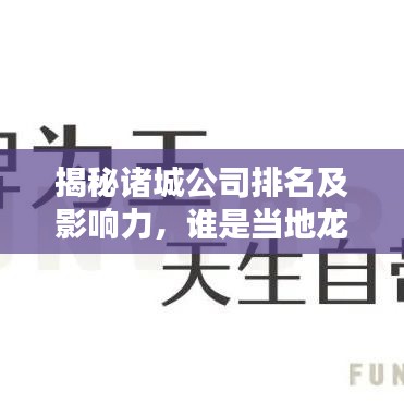 揭秘诸城公司排名及影响力，谁是当地龙头企业？