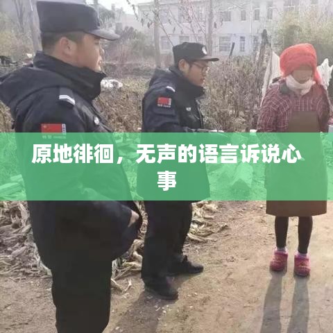 原地徘徊，无声的语言诉说心事