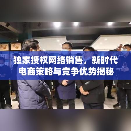 独家授权网络销售，新时代电商策略与竞争优势揭秘