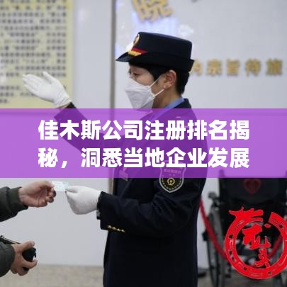 佳木斯公司注册排名揭秘，洞悉当地企业发展的龙头格局