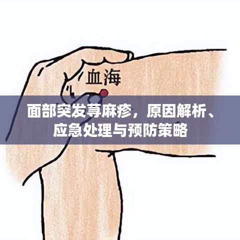 面部突发荨麻疹，原因解析、应急处理与预防策略