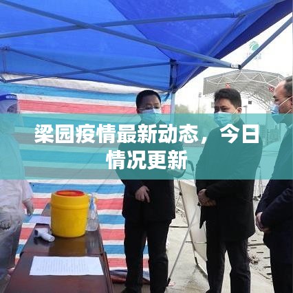 梁园疫情最新动态，今日情况更新