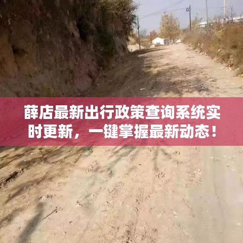 薛店最新出行政策查询系统实时更新，一键掌握最新动态！