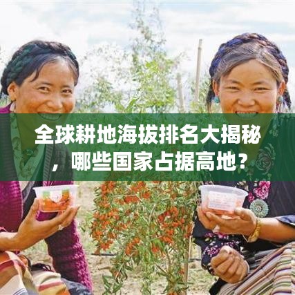 全球耕地海拔排名大揭秘，哪些国家占据高地？