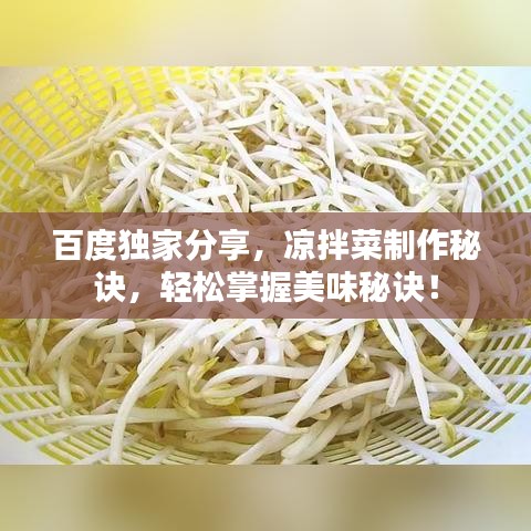 百度独家分享，凉拌菜制作秘诀，轻松掌握美味秘诀！