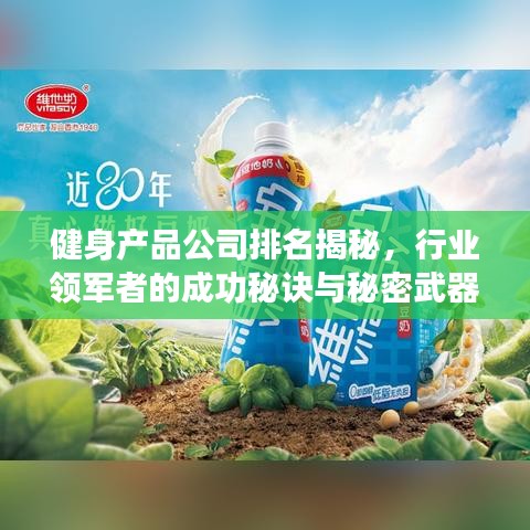 健身产品公司排名揭秘，行业领军者的成功秘诀与秘密武器