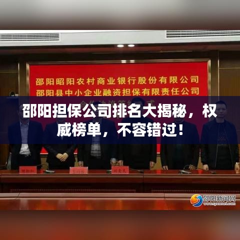 邵阳担保公司排名大揭秘，权威榜单，不容错过！