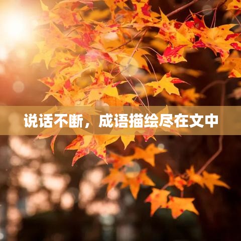 说话不断，成语描绘尽在文中