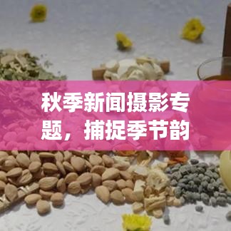秋季新闻摄影专题，捕捉季节韵味与时代脉搏的绝美瞬间