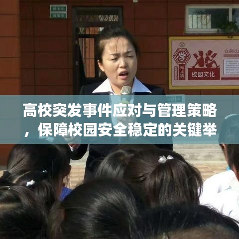 高校突发事件应对与管理策略，保障校园安全稳定的关键举措