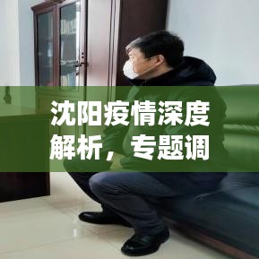 沈阳疫情深度解析，专题调查报告