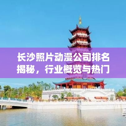 长沙照片动漫公司排名揭秘，行业概览与热门机构榜单