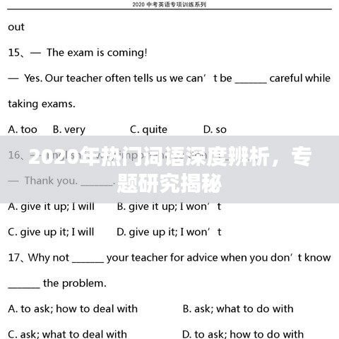 2020年热门词语深度辨析，专题研究揭秘