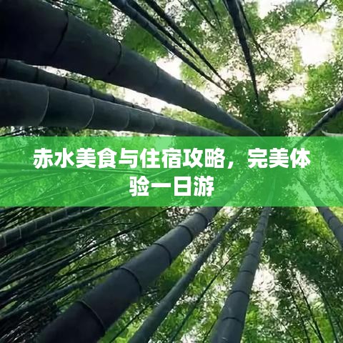 赤水美食与住宿攻略，完美体验一日游