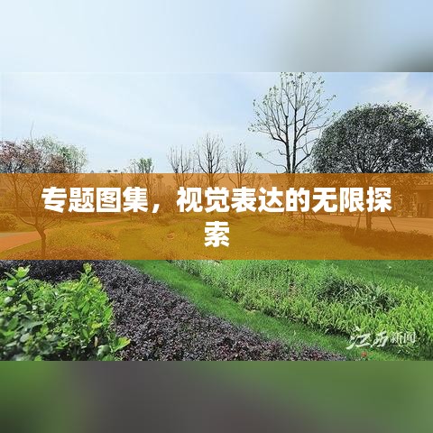 专题图集，视觉表达的无限探索
