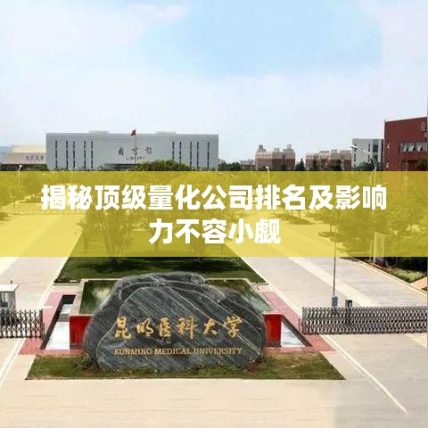 揭秘顶级量化公司排名及影响力不容小觑