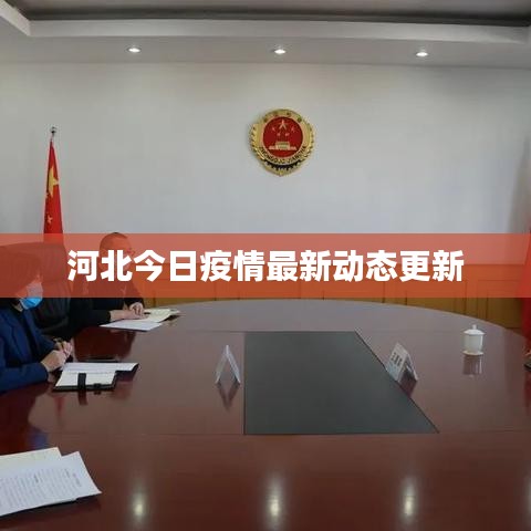 河北今日疫情最新动态更新