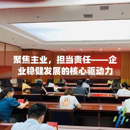 聚焦主业，担当责任——企业稳健发展的核心驱动力