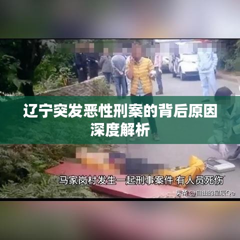 辽宁突发恶性刑案的背后原因深度解析