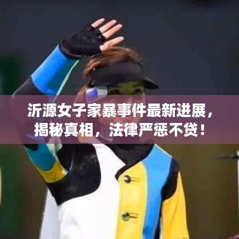 沂源女子家暴事件最新进展，揭秘真相，法律严惩不贷！