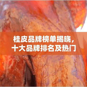 打张鸡儿 第2页