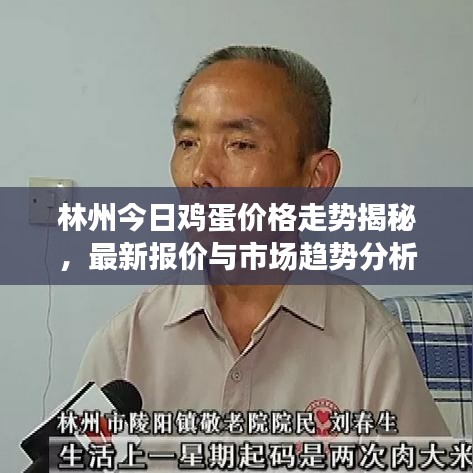 林州今日鸡蛋价格走势揭秘，最新报价与市场趋势分析