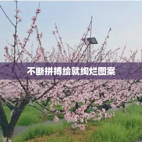 不断拼搏绘就绚烂图案