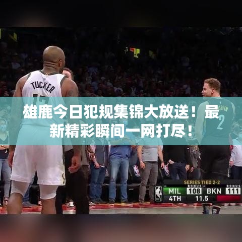 雄鹿今日犯规集锦大放送！最新精彩瞬间一网打尽！