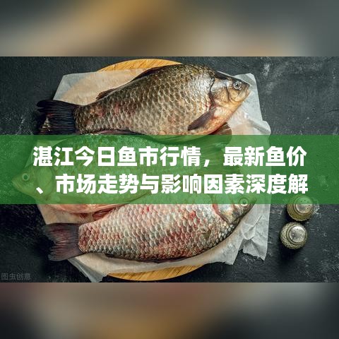 湛江今日鱼市行情，最新鱼价、市场走势与影响因素深度解析