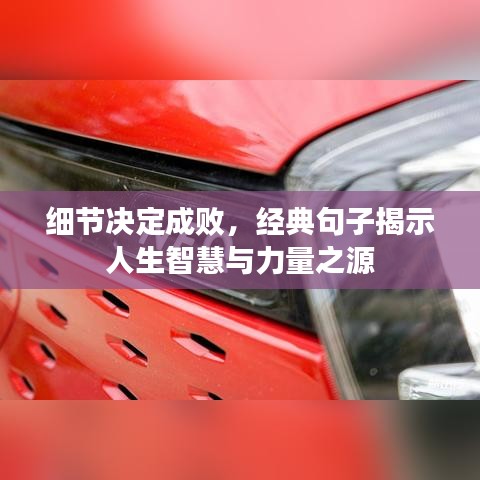 细节决定成败，经典句子揭示人生智慧与力量之源