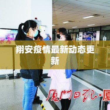翔安疫情最新动态更新