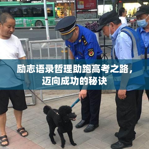 励志语录哲理助跑高考之路，迈向成功的秘诀