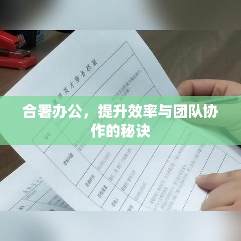 合署办公，提升效率与团队协作的秘诀