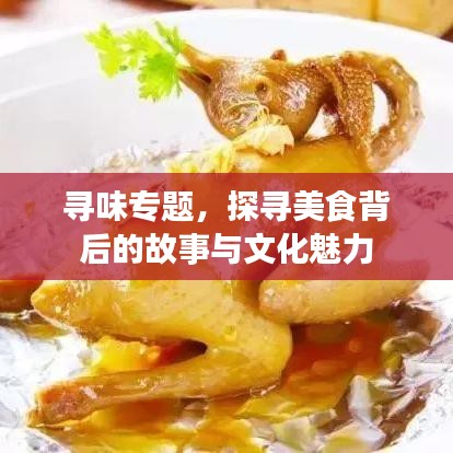寻味专题，探寻美食背后的故事与文化魅力