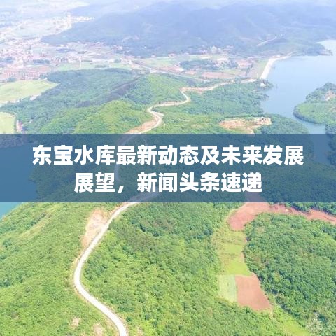 东宝水库最新动态及未来发展展望，新闻头条速递