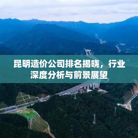 昆明造价公司排名揭晓，行业深度分析与前景展望