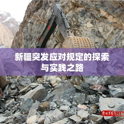 新疆突发应对规定的探索与实践之路