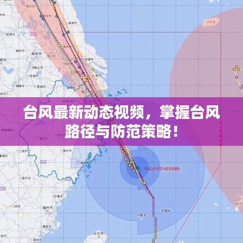 台风最新动态视频，掌握台风路径与防范策略！