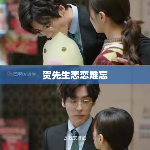 贺先生恋恋难忘