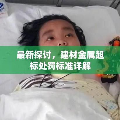 最新探讨，建材金属超标处罚标准详解